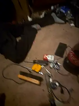 SillyRabbitz online show from 25, 11, 2025