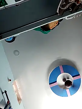 wildfun  online show from 23, 10, 2025