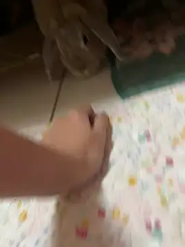 ladypaggy online show from 4, 3, 2026