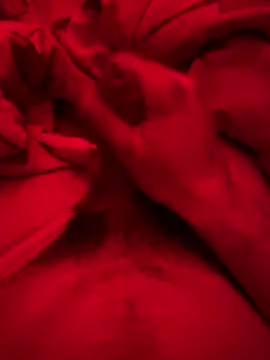 ruchacz24 online show from 6, 3, 2025