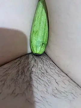 yakot7 online show from 21, 2, 2026