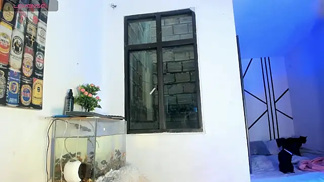 CRAZY-BOY99 online show from 11, 2, 2026