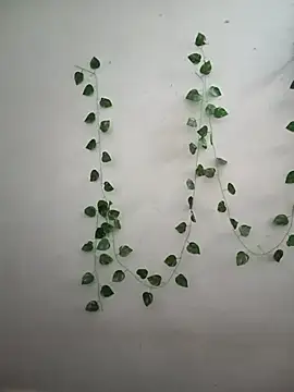 Neha-Bhabhi-Rasily online show from 14, 2, 2026