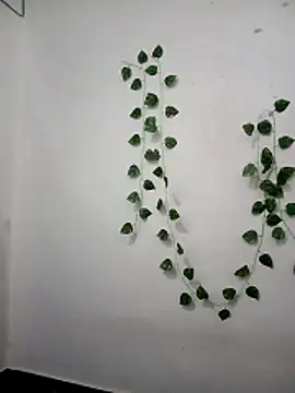 Neha-Bhabhi-Rasily online show from 24, 2, 2026