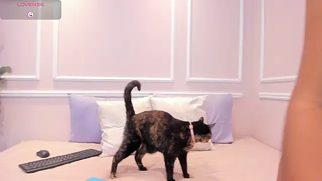 Snapshot of Lucy_Canel chatting on 31, 1, 2026 Lucy Canel online show from 31, 1, 2026