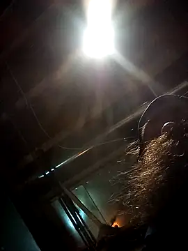 Snapshot of SirJonBradley chatting on 19, 9, 2025 SirJonBradley online show from 19, 9, 2025