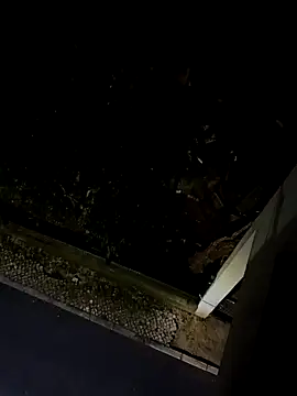 BUTTerflyTODAY online show from 22, 4, 2026