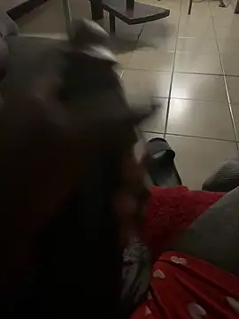 Goodball88 online show from 28, 2, 2026