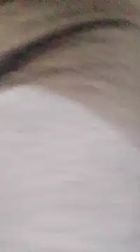 Snapshot of patrona_sexooo chatting on 9, 3, 2025 patrona sexooo online show from 9, 3, 2025