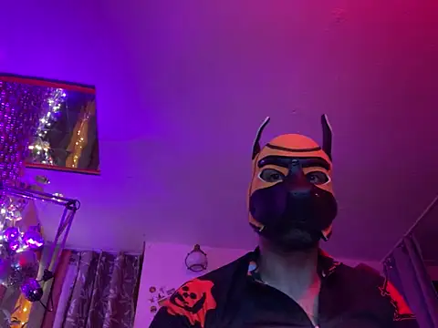 Snapshot of danix_wild_wolf chatting on 20, 12, 2025 danix wild wolf online show from 20, 12, 2025