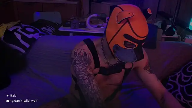 Snapshot of danix_wild_wolf chatting on 15, 3, 2026 danix wild wolf online show from 15, 3, 2026