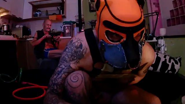 danix wild wolf online show from 12, 5, 2026