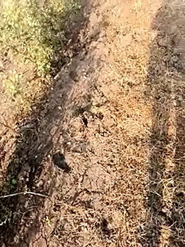 himvilohi08 online show from 28, 2, 2026