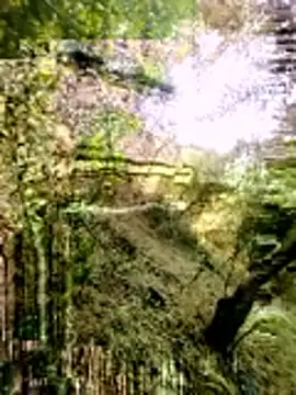 himvilohi08 online show from 16, 3, 2026