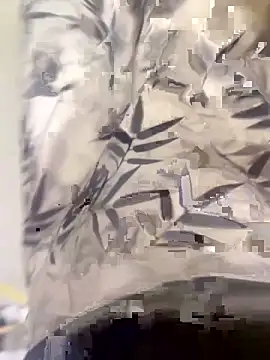 xiaoyuan01 online show from 10, 10, 2025