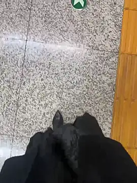 xiaoyuan01 online show from 31, 10, 2025