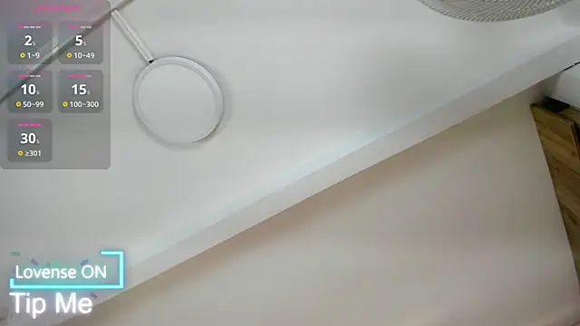 VICTORIAGRAYS online show from 29, 11, 2025