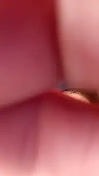 Fox Roxxan online show from 22, 9, 2025