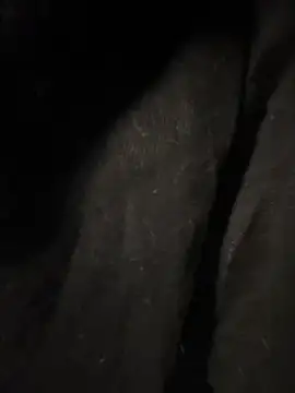 pikuslordpll online show from 23, 12, 2025