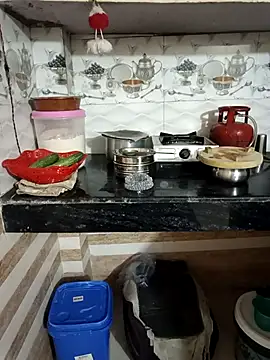 Snapshot of Geeta-satr chatting on 2, 4, 2026 Geeta-satr online show from 2, 4, 2026