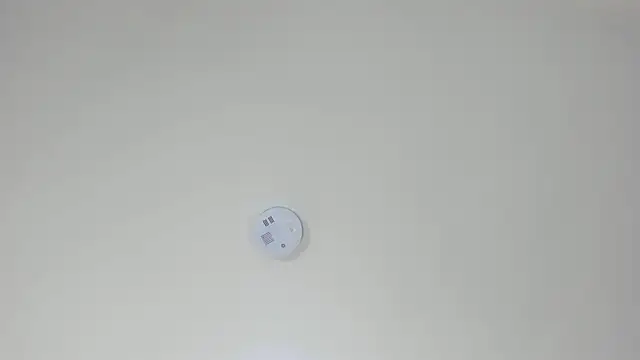 pamemiller1 online show from 23, 10, 2025