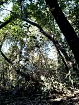 KalendaXL online show from 4, 4, 2026