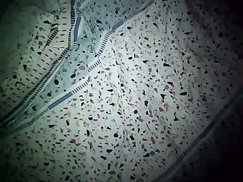 Snapshot of 20cmloiro chatting on 8, 11, 2025 20cmloiro online show from 8, 11, 2025