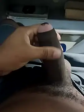 nego-insaciavel online show from 25, 2, 2026