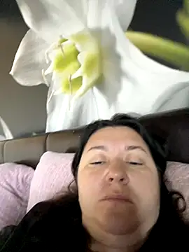 Liza Will online show from 3, 11, 2025