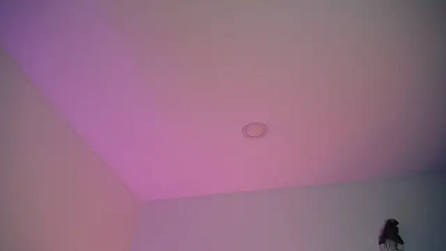 Stepha babe online show from 8, 9, 2025