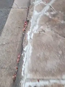 Snapshot of dickcurved38 chatting on 20, 2, 2026 dickcurved38 online show from 20, 2, 2026