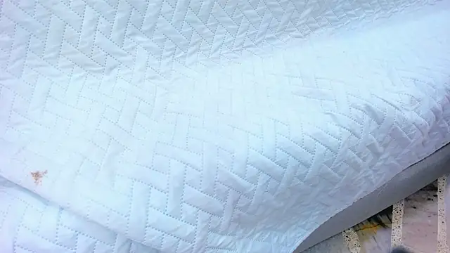 crystal sm online show from 13, 2, 2026