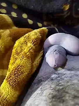 ADAM50001 online show from 2, 4, 2026