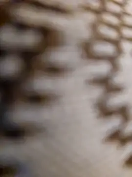 mojaymort online show from 11, 11, 2025