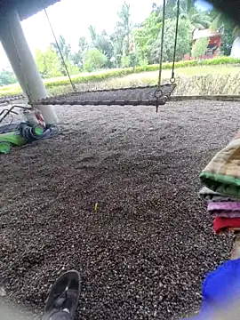 Desi Horny Boys online show from 15, 9, 2025