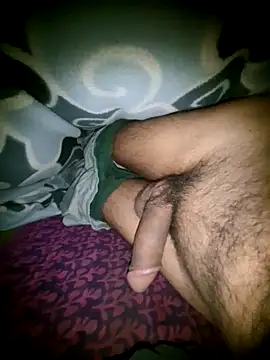 Desi Horny Boys online show from 16, 11, 2025