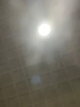 sabrina v  online show from 19, 1, 2026