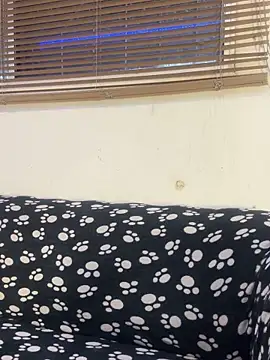 cody fox10 online show from 14, 4, 2026