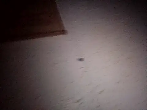 Hottiesophie online show from 11, 4, 2026