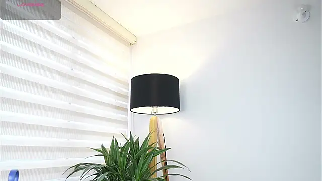 Snapshot of DeusbelliS chatting on 14, 10, 2025 DeusbelliS online show from 14, 10, 2025