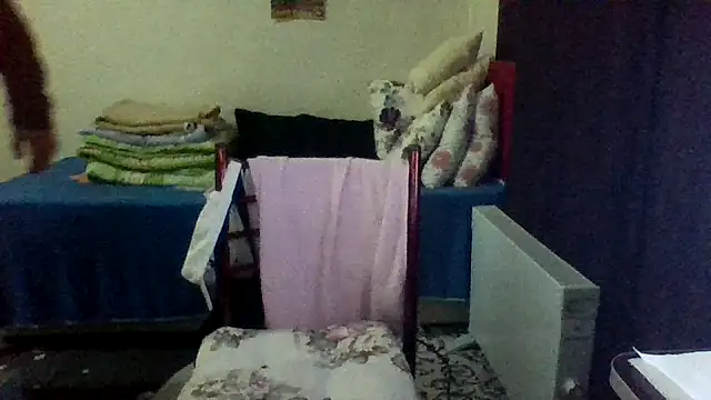 st206boy online show from 16, 1, 2026