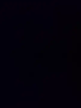 minnetird online show from 15, 12, 2025