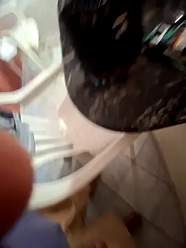 bimbadoce online show from 2, 11, 2025