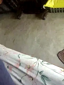 Telugu person12 online show from 30, 9, 2025