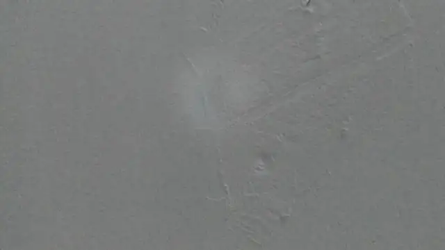 Sophia Ebony online show from 8, 2, 2026