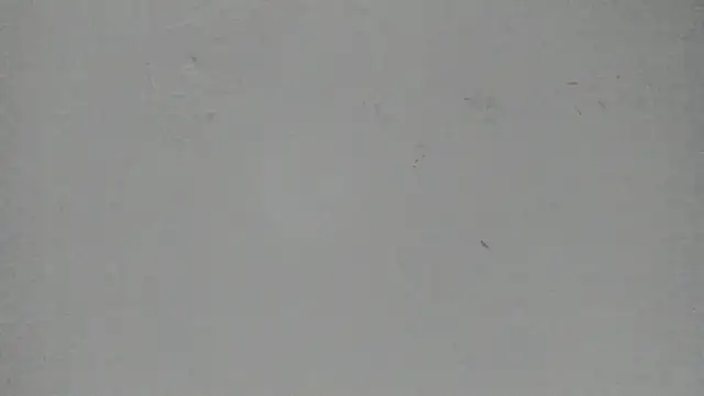 Sophia Ebony online show from 13, 3, 2026