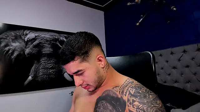 king falconer online show from 19, 12, 2025