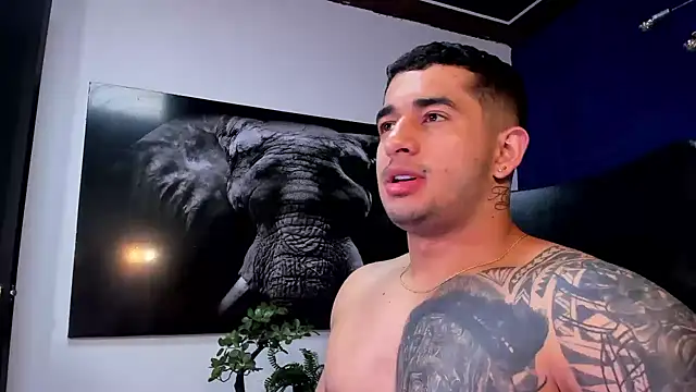 king falconer online show from 11, 1, 2026