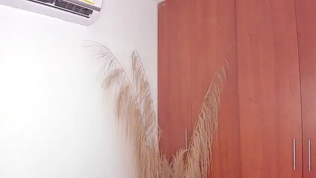 Evansdark1 online show from 9, 11, 2025