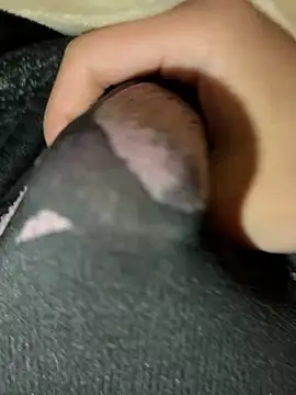 rrrrrriyyffhyeeee online show from 16, 2, 2026